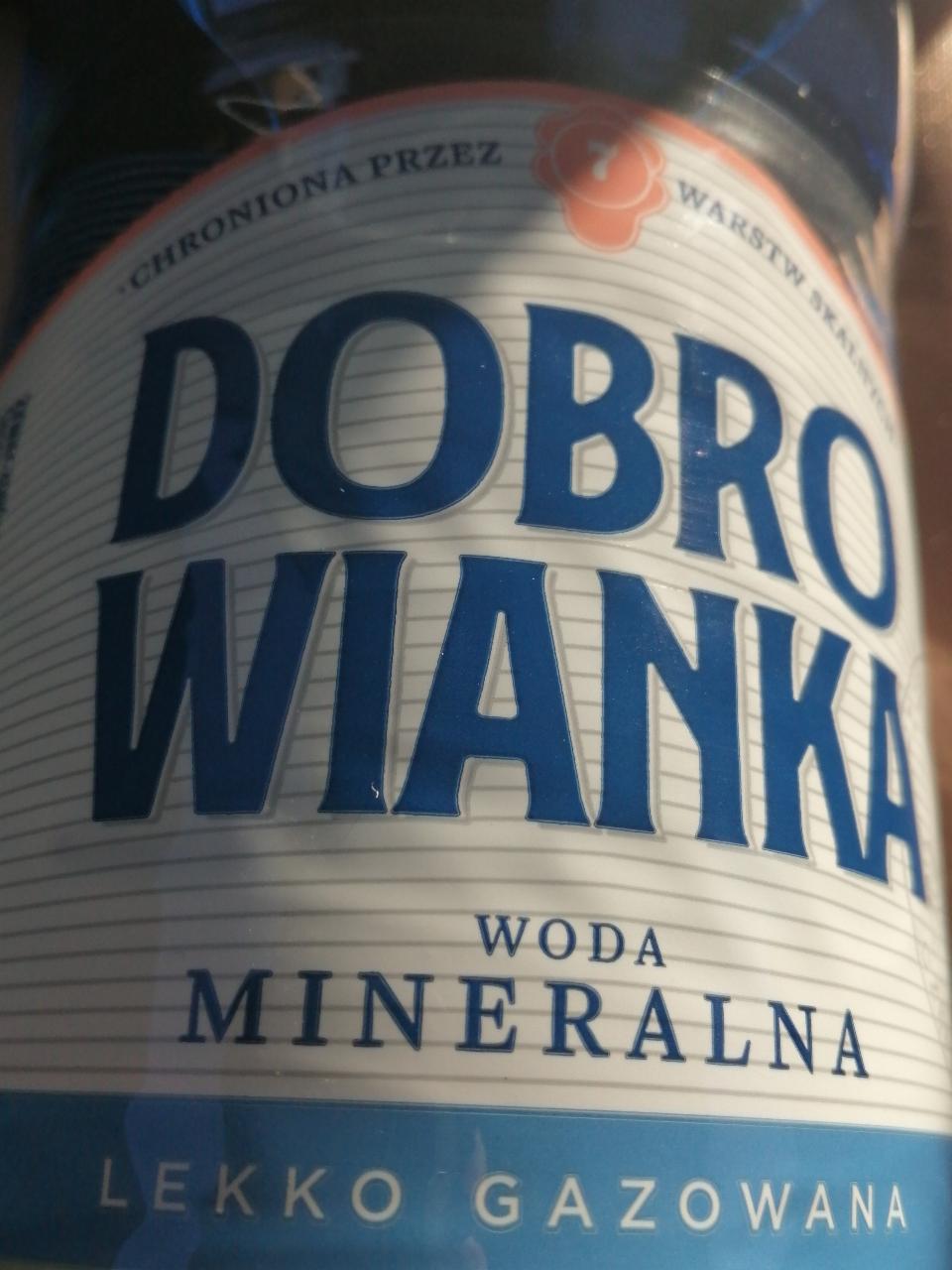 Fotografie - Dobrowianka Woda mineralna lekko gazowana