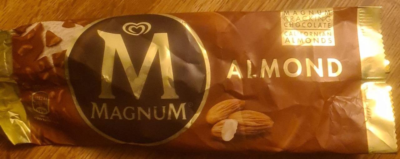 Fotografie - Magnum Almond Algida