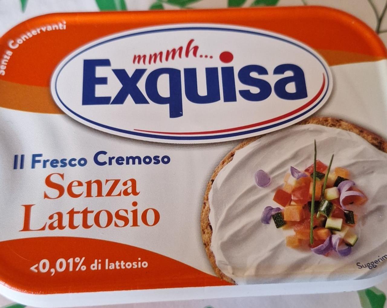 Fotografie - Il fresco cremoso senza lattosio Exquisa