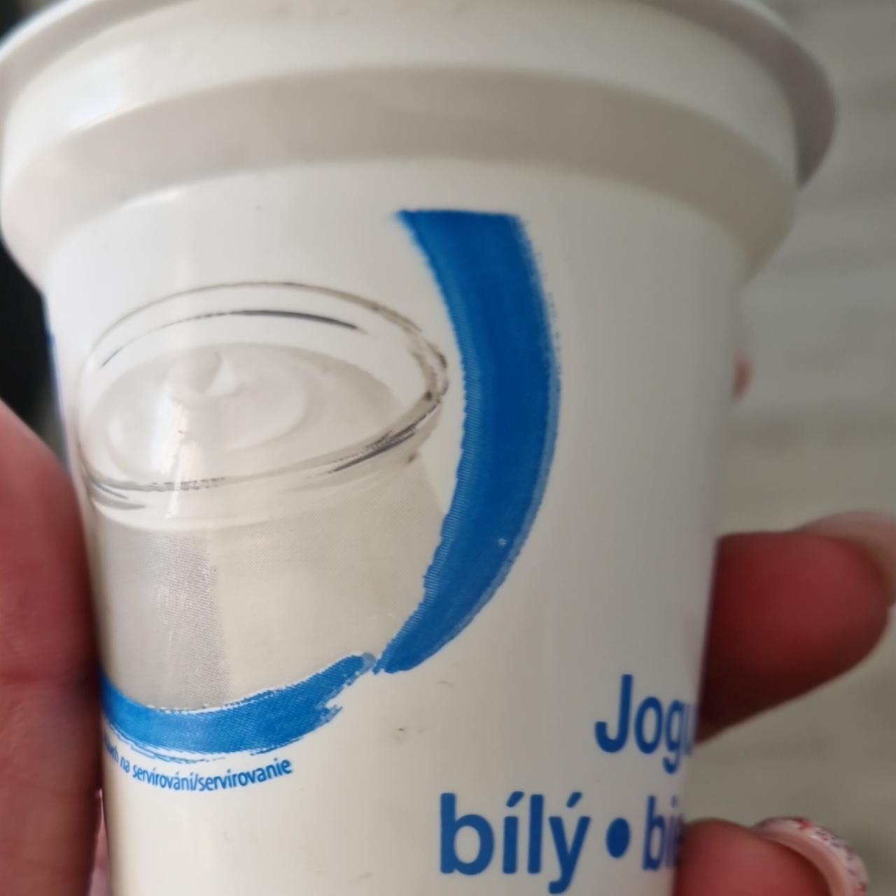 Fotografie - Bílý jogurt 1,5% tuku Aro