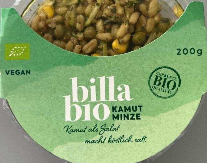 Fotografie - Kamut minze Billa Bio