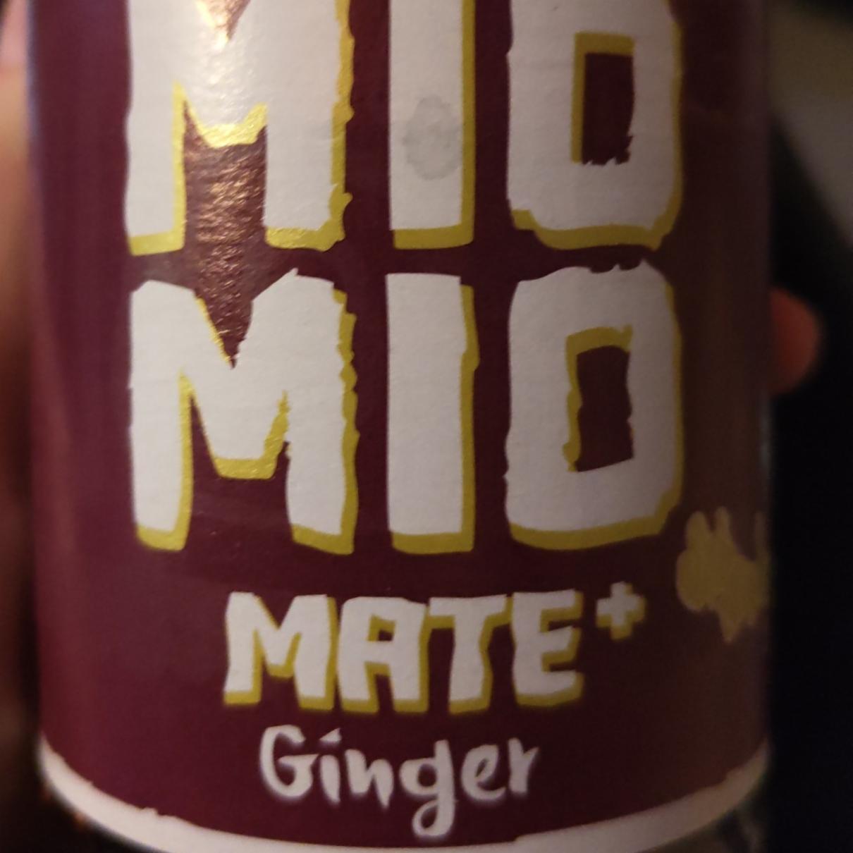 Fotografie - Mate + Ginger Mio Mio