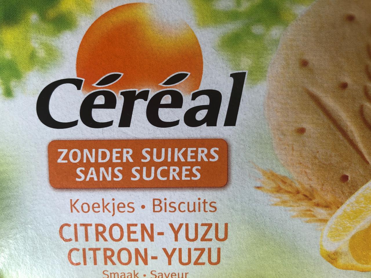 Fotografie - koekjes citroen zonder suiker