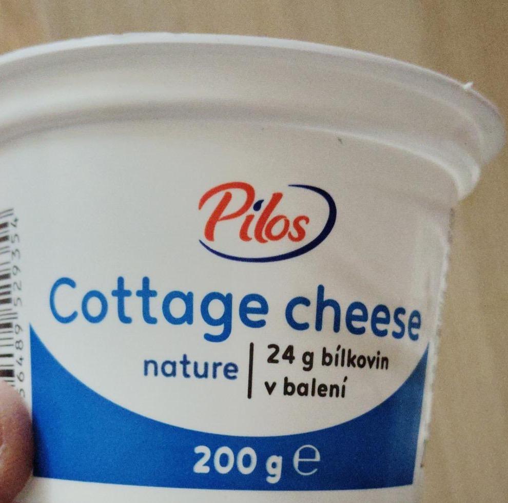 Fotografie - Cottage cheese nature Pilos