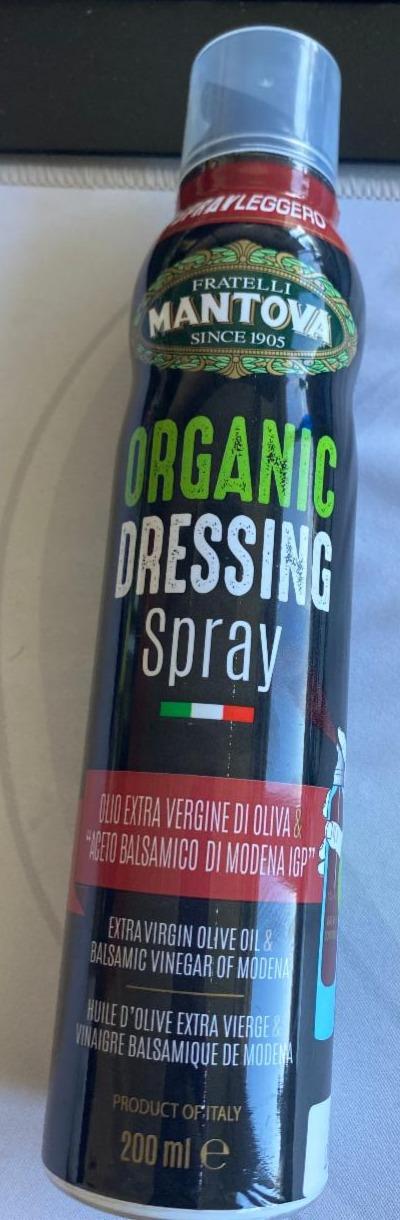 Fotografie - Organic dressing spray Mantova