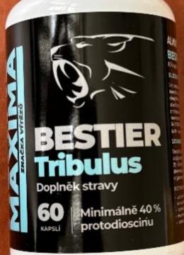 Fotografie - Bestier Tribulus Alavis Maxima