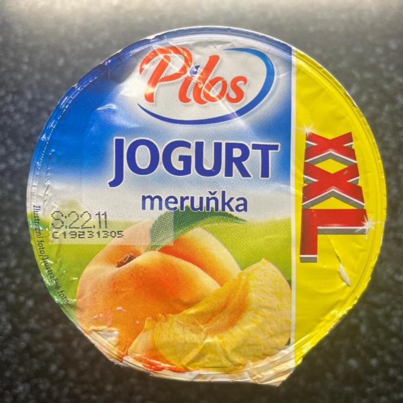 Fotografie - Jogurt Meruňka XXL Pilos