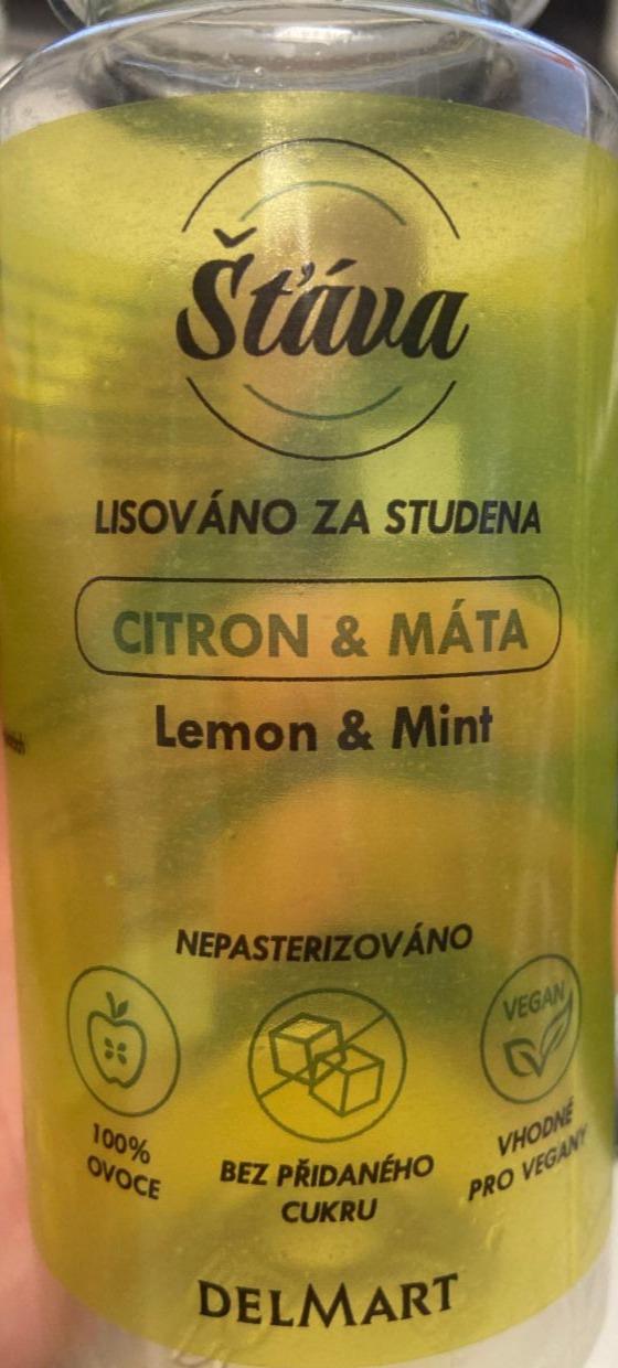 Fotografie - Šťáva citron a máta Delmart