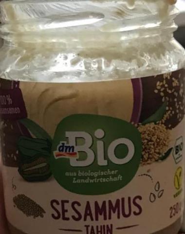 Fotografie - dmBio TAHINI