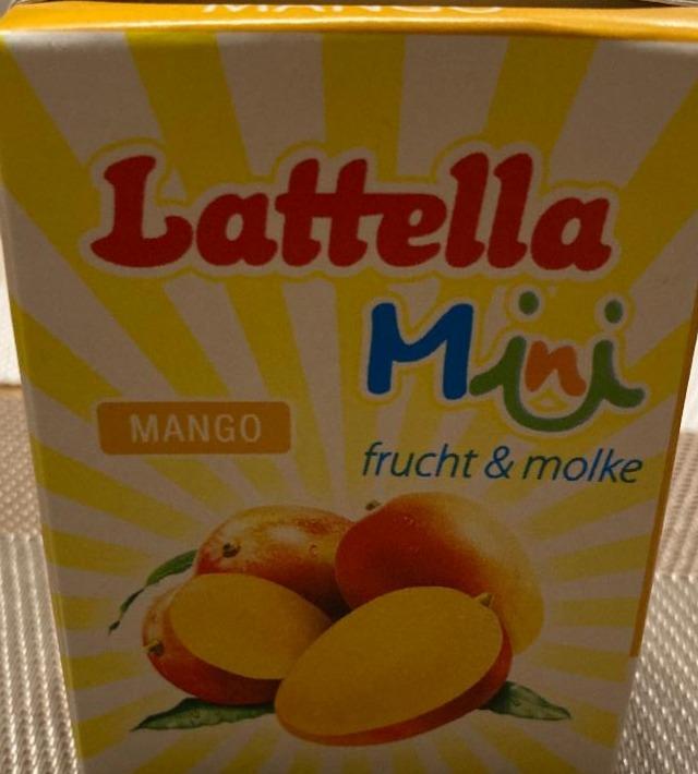 Fotografie - Latella mini Mango