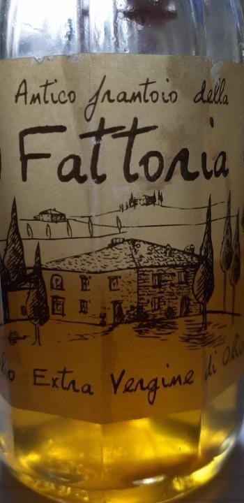 Fotografie - Olio Extra Vergine di Oliva Fattoria