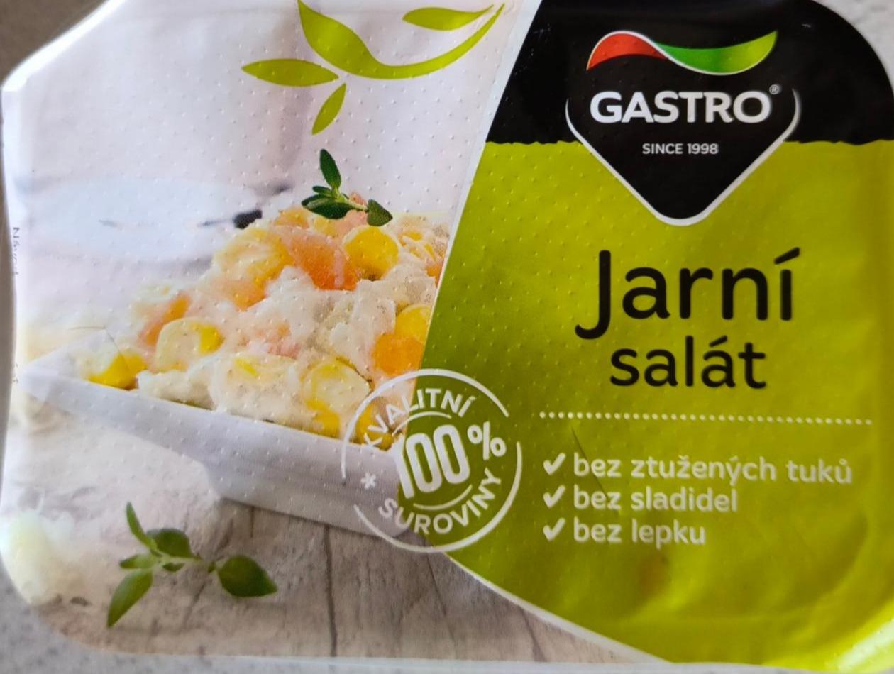 Fotografie - Jarní salát Gastro