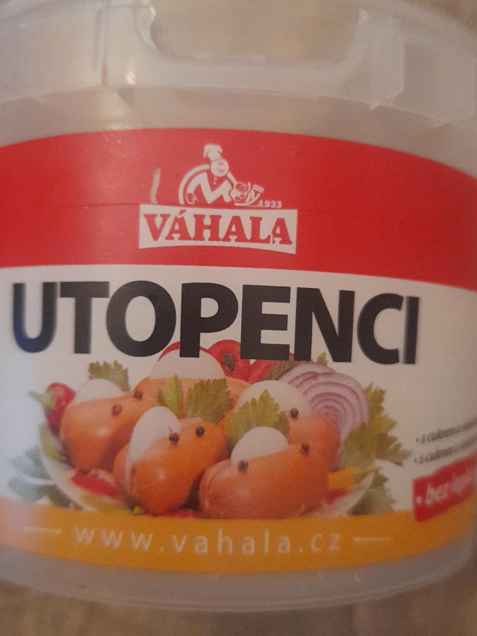 Fotografie - utopenci Váhala