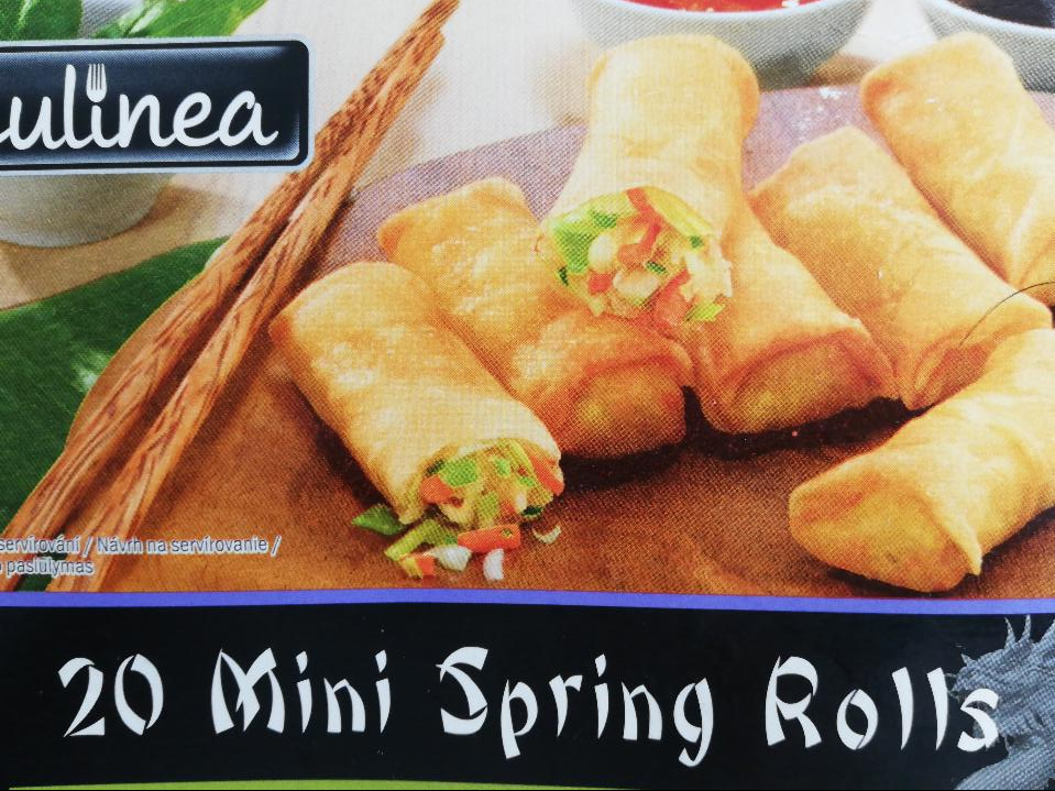 Fotografie - Spring Rolls Mini jarní závitky plněné zeleninou Culinea