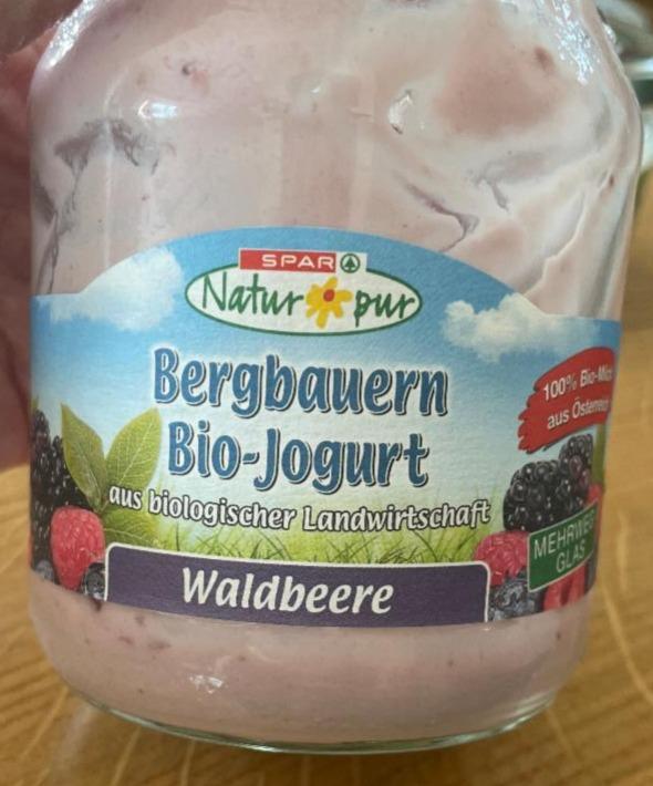 Fotografie - Bergbauern Bio-Jogurt Waldbeere Spar Natur pur