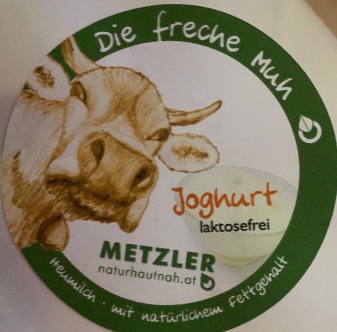 Fotografie - Joghurt laktosefrei Metzler