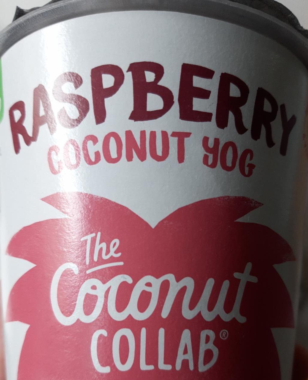 Fotografie - Raspberry Coconut yog