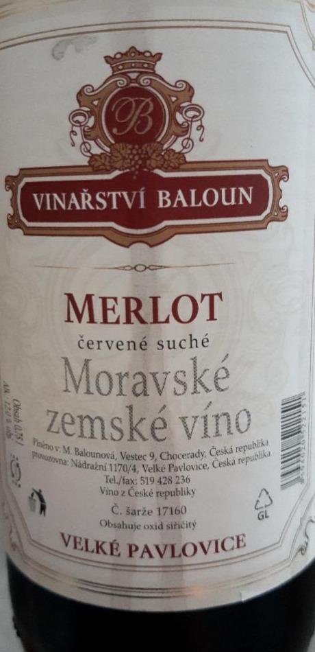 Fotografie - Merlot Velké Pavlovice