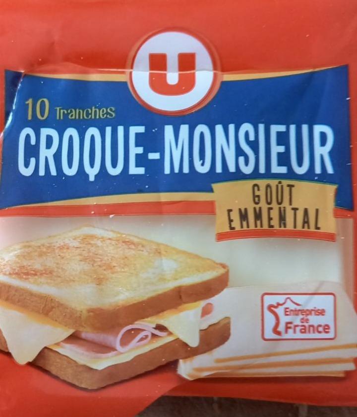 Fotografie - croque-monsieur Gout Emental