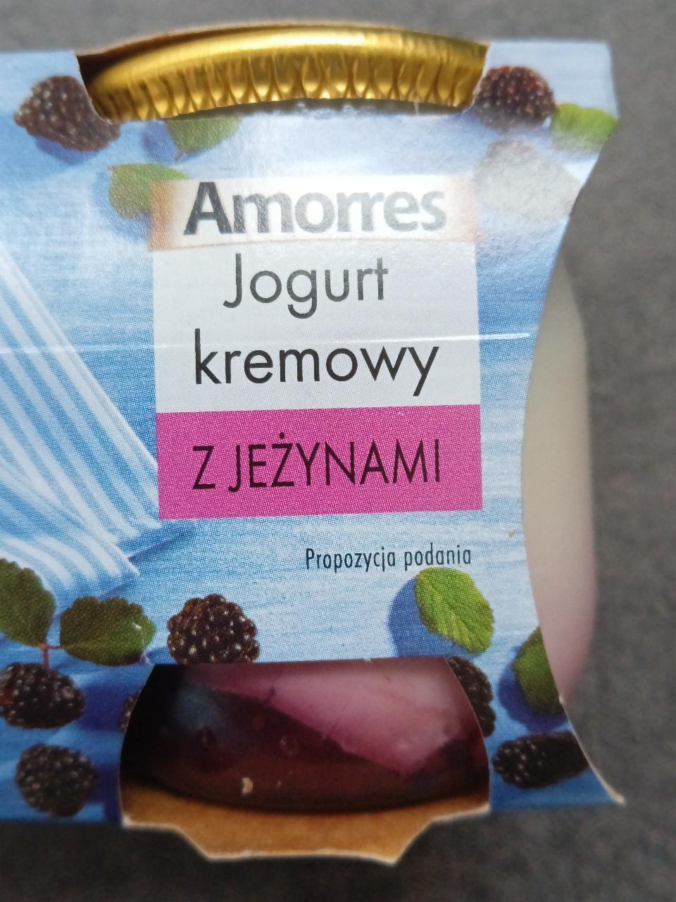 Fotografie - Jogurt kremowy z jeżynami Amorres