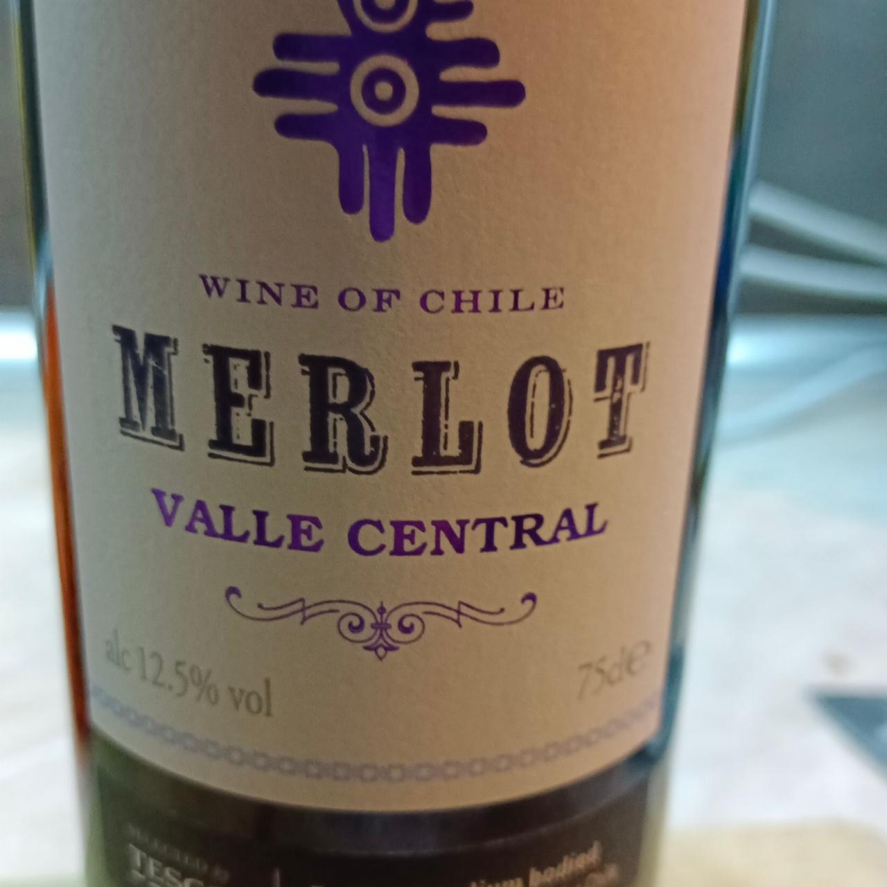 Fotografie - Merlot Valle Central Tesco