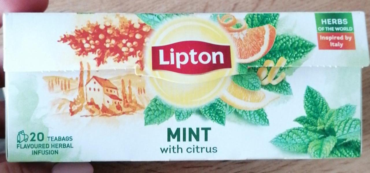 Fotografie - Mint with citrus Lipton