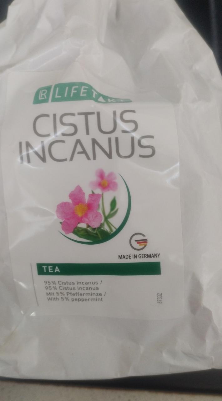 Fotografie - cistus incanus Tea