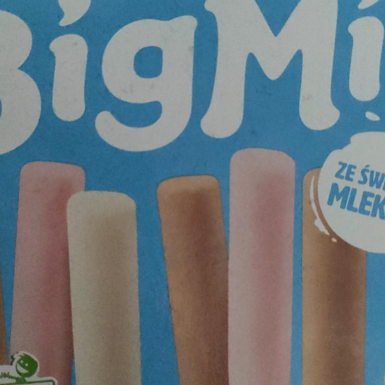 Fotografie - mini Big Milk algida