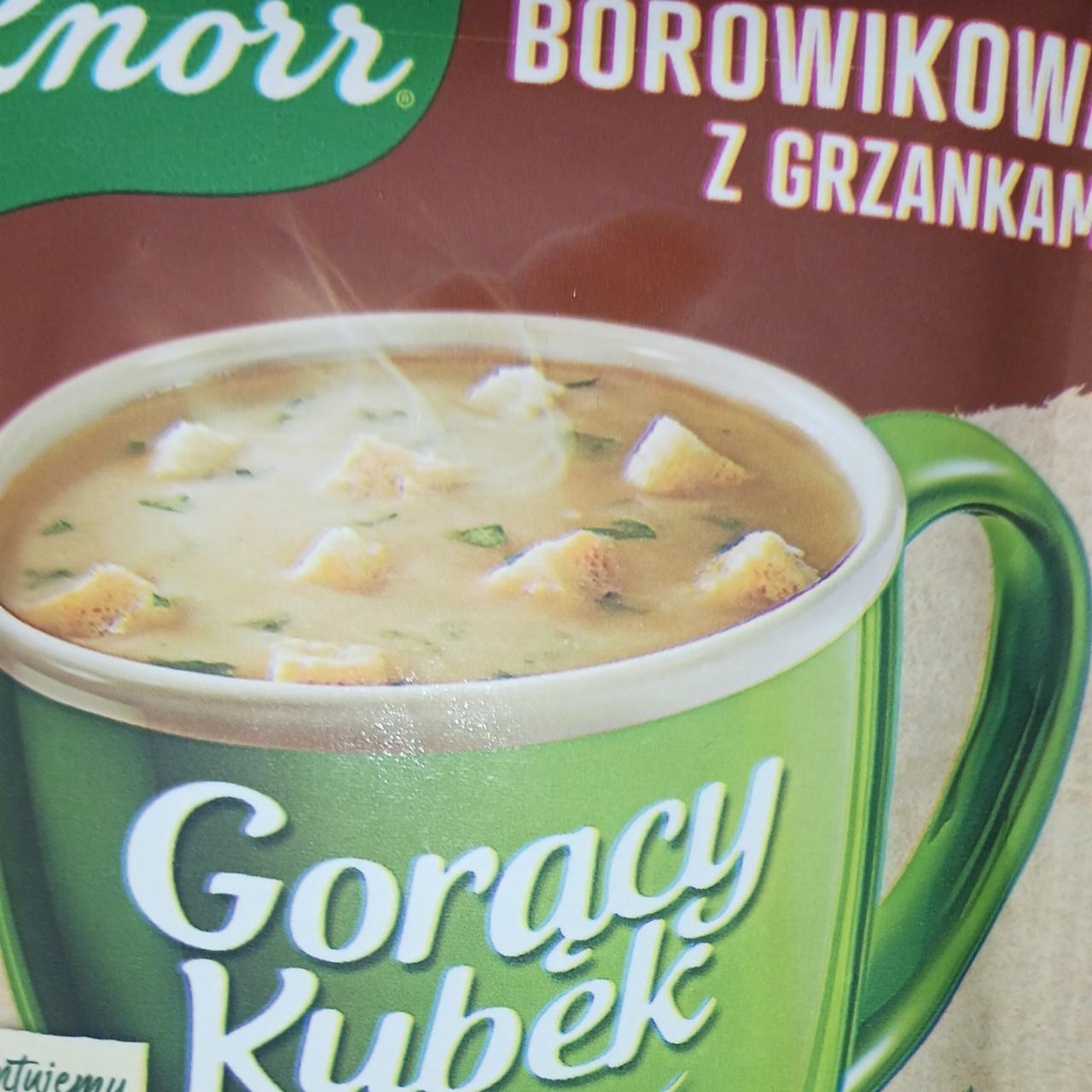 Fotografie - Borowikowa z grzankami goracy kubek Knorr