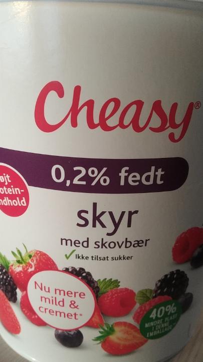 Fotografie - Cheasy skyr 0,2% lesní plody