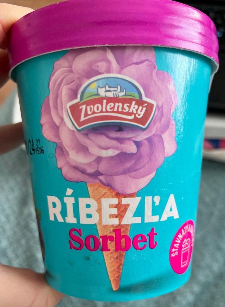 Fotografie - Sorbet čierna ríbezľa zvolenský