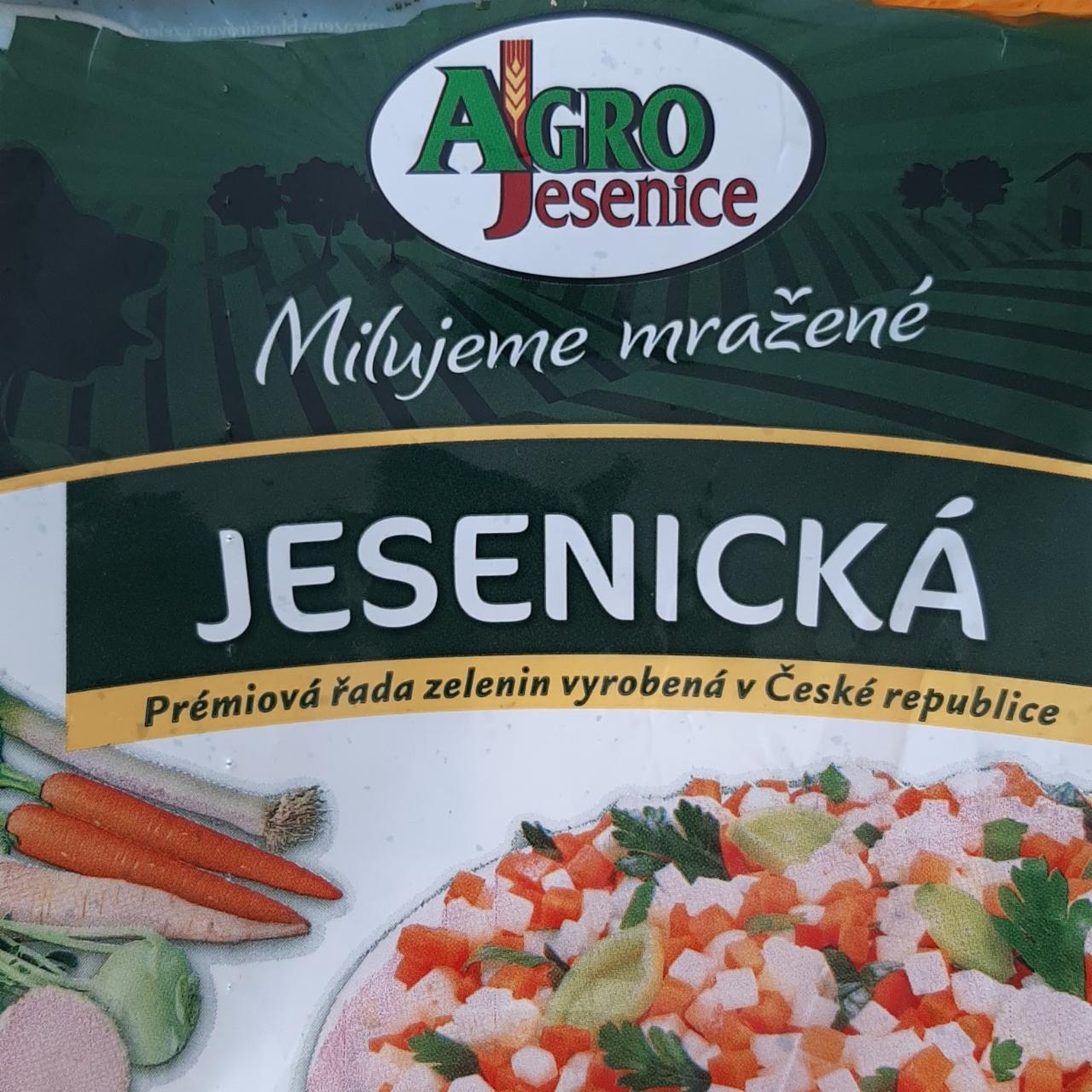 Fotografie - Jesenická směs na polévku Agro Jesenice