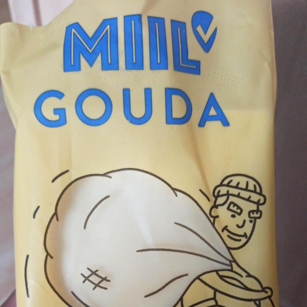 Fotografie - Gouda bloček Miil