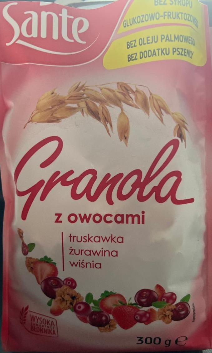 Fotografie - Sante granola owocna