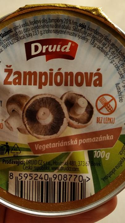 Fotografie - žampionová vegetariánská pomazánka Druid