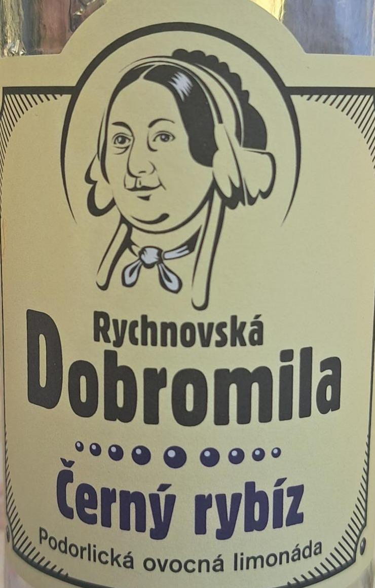 Fotografie - Černý Rybíz Rychnovská Dobromila