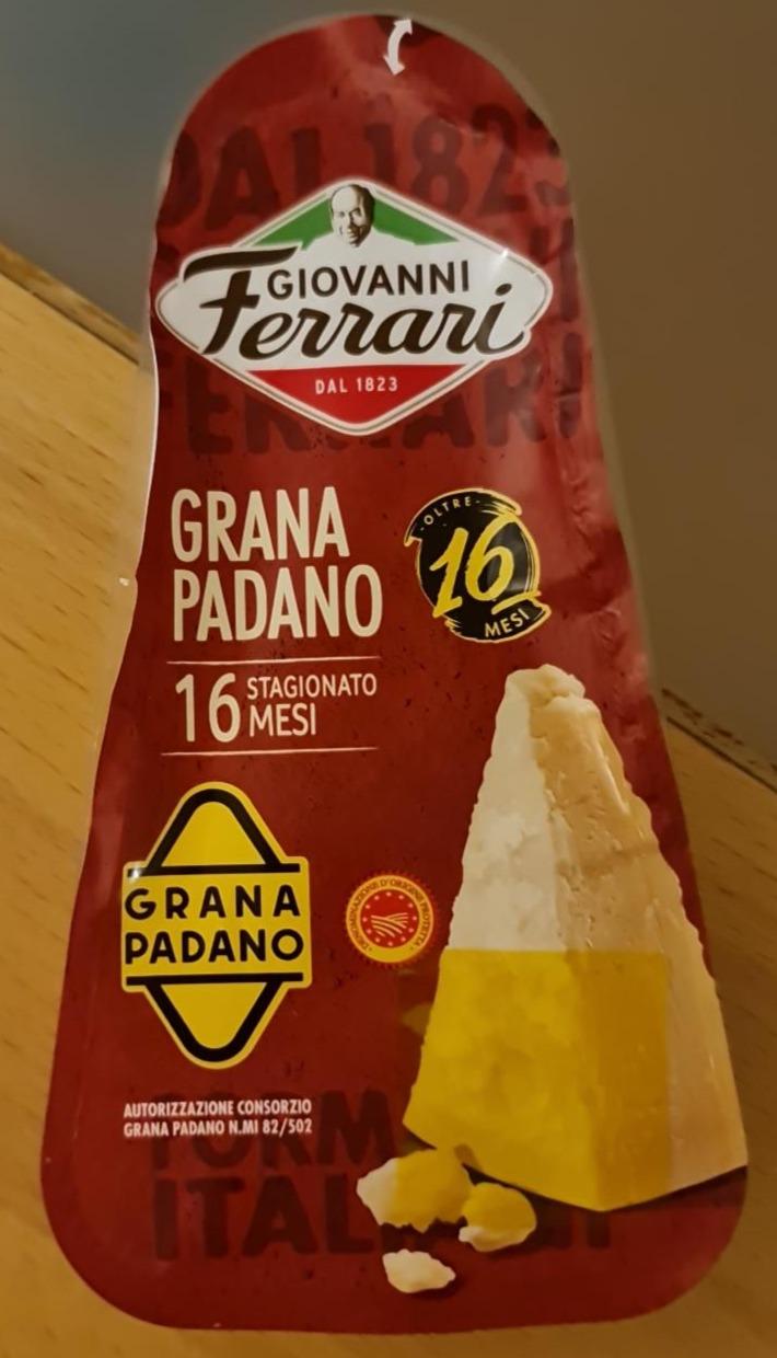 Fotografie - Grana Padano Giovanni Ferrari