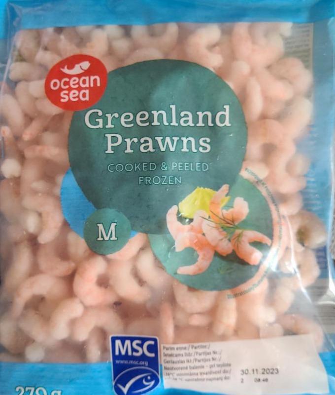 Fotografie - Greenland prawns cooked, peeled & frozen Ocean Sea