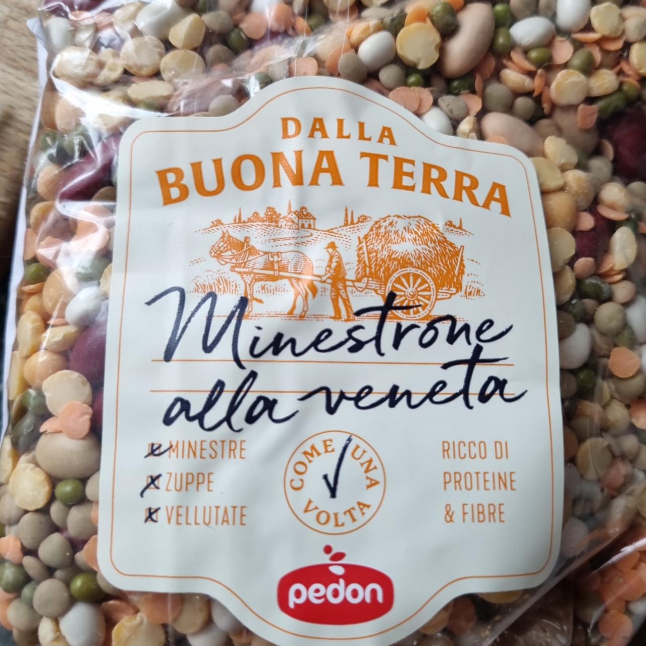 Fotografie - Dalla Buona Terra Minestrone alla veneta Pedon