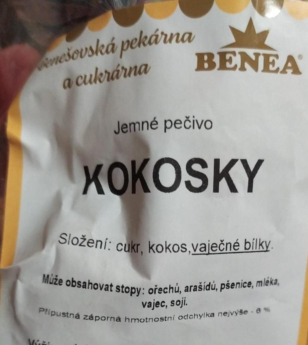 Fotografie - Kokosky Benea