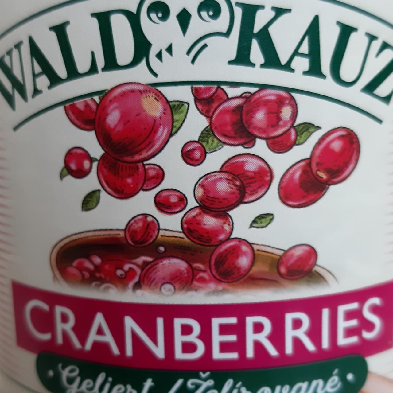 Fotografie - Cranberries Wald Kauz