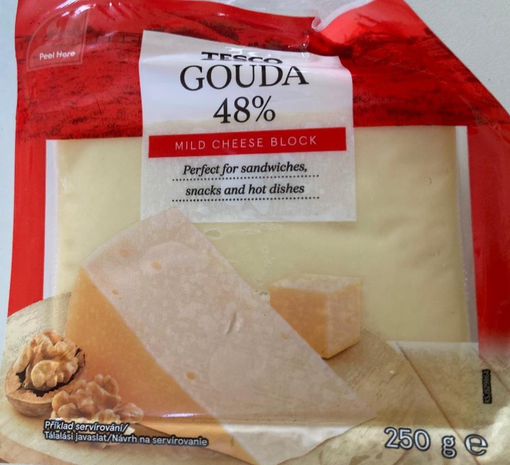 Fotografie - Gouda 48% Tesco