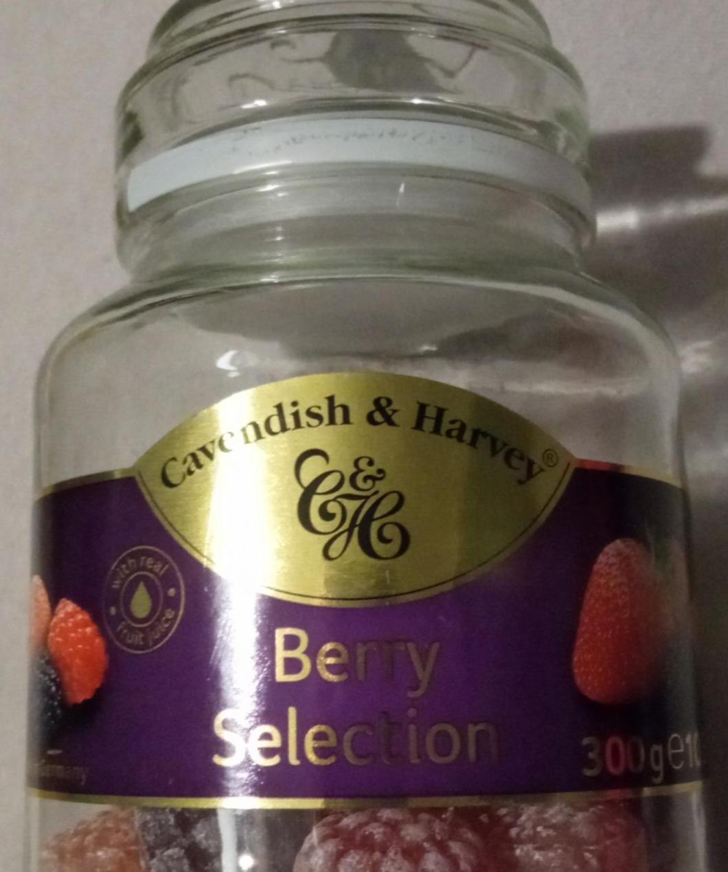 Fotografie - Berry Selection Cavendish & Harvey