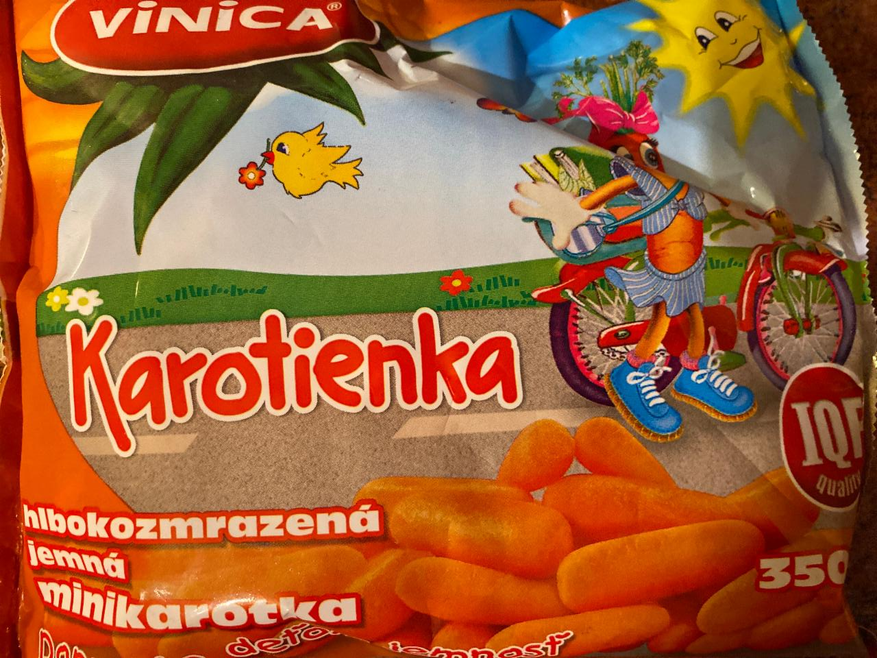 Fotografie - Vinica karotienka