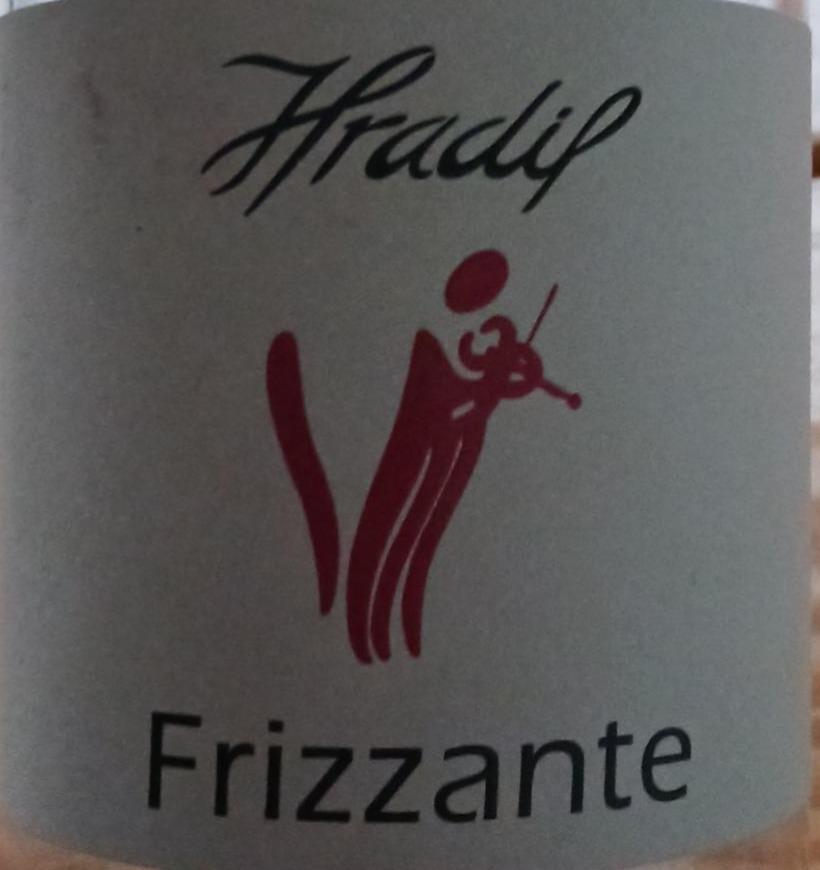 Fotografie - Frizzante Hradil