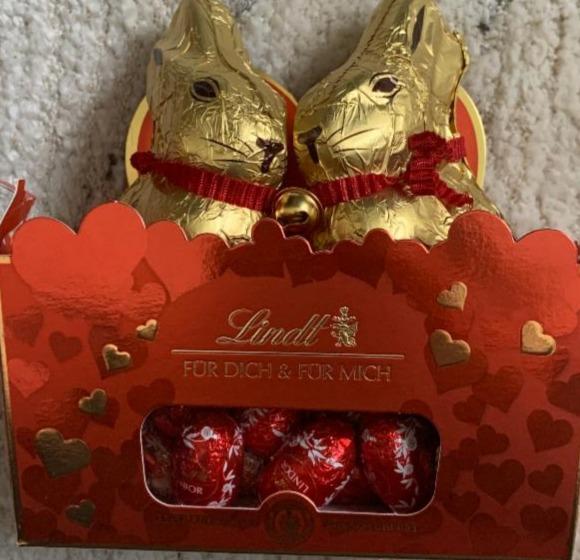 Fotografie - Gold Bunny Lindt