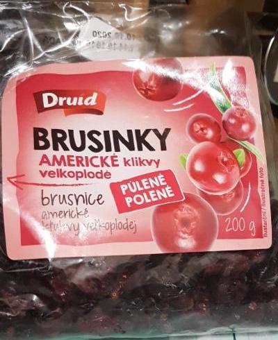 Fotografie - Brusinky americké klikvy velkoplodé Druid