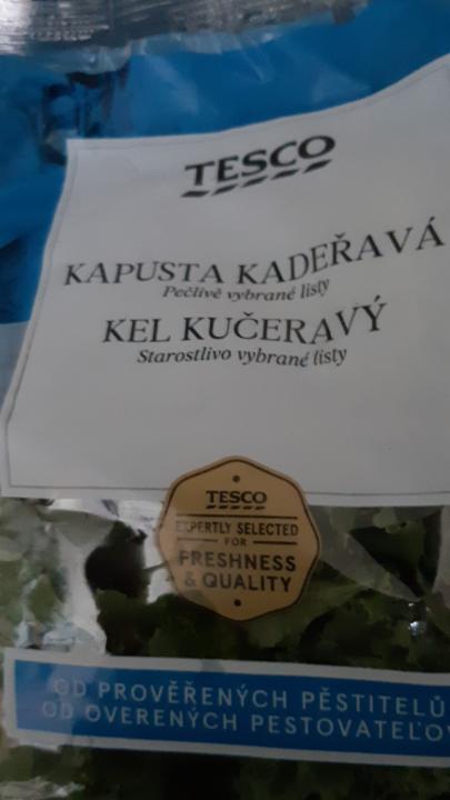 Fotografie - Kapusta kadeřavá Tesco