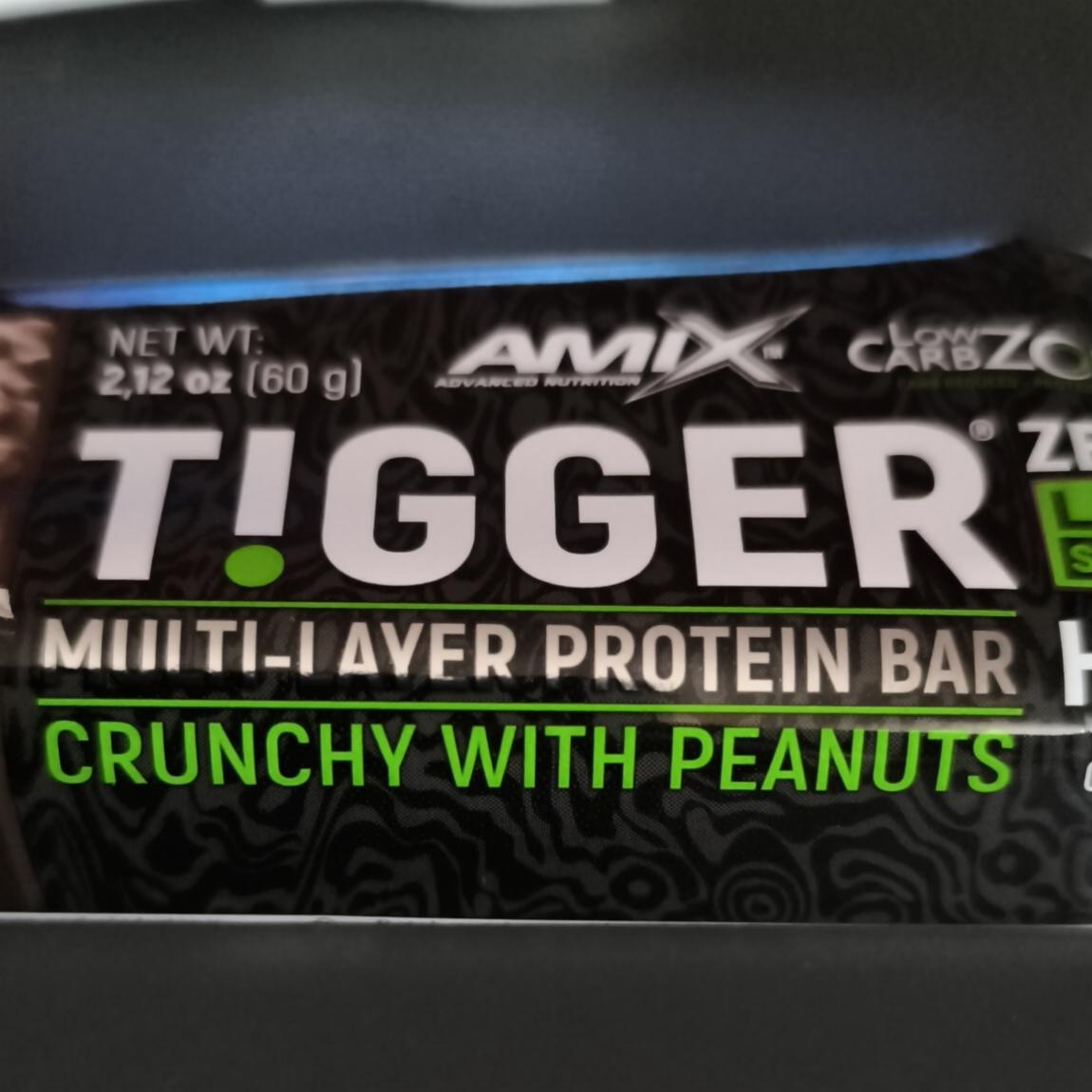 Fotografie - T!GGER Zero multi-layer protein bar dark chocolate & caramel in chocolate Amix