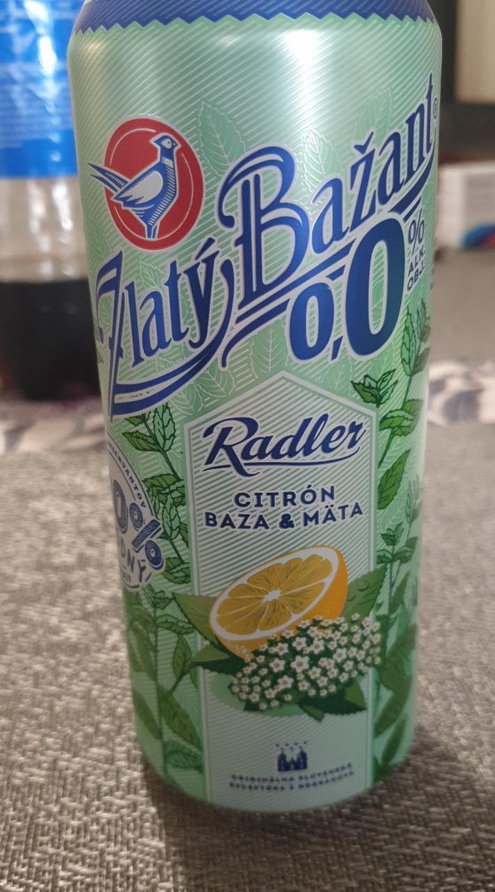 Fotografie - Zlatý Bažant Radler citrón, bezinky,máta